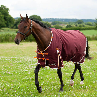 Buy Gallop Trojan Xtra 100g Turnout Rug| Online for Equine