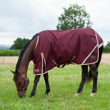 Gallop Trojan Xtra 100g Turnout Rug| Online For Equine