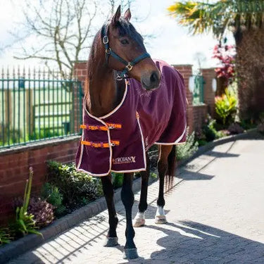 Gallop Trojan Xtra 100g Turnout Rug| Online For Equine