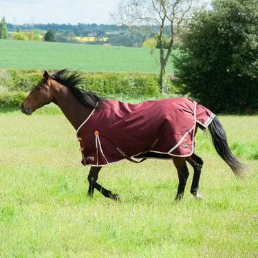 Gallop Trojan Xtra 100g Turnout Rug| Online For Equine