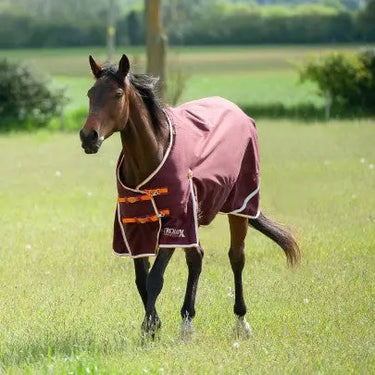 Gallop Trojan Xtra 100g Turnout Rug| Online For Equine