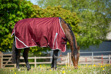 Buy Gallop Trojan Xtra 50g Standard Neck Turnout Rug| Online for Equine