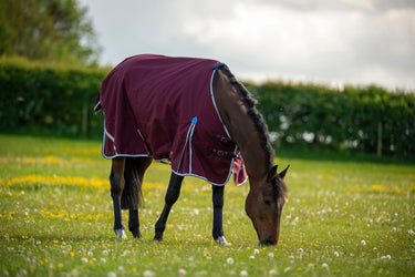 Buy Gallop Trojan Xtra 50g Standard Neck Turnout Rug| Online for Equine