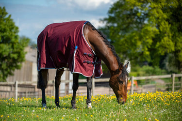 Buy Gallop Trojan Xtra 50g Standard Neck Turnout Rug| Online for Equine