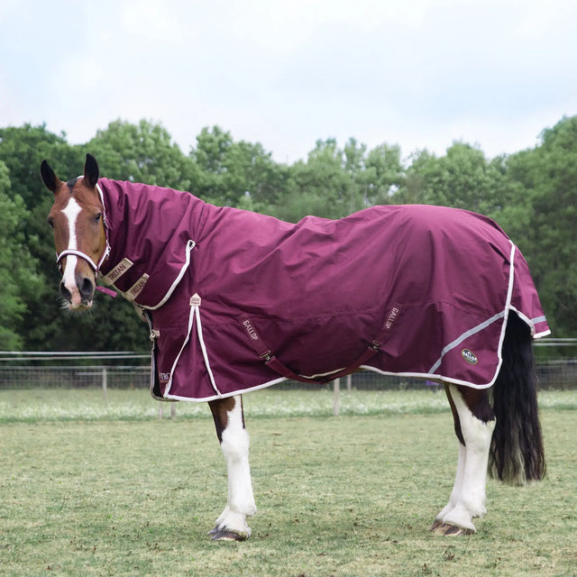 Gallop Rugs for Horses, Trojan Xtra Turnouts & Stable | Online for ...