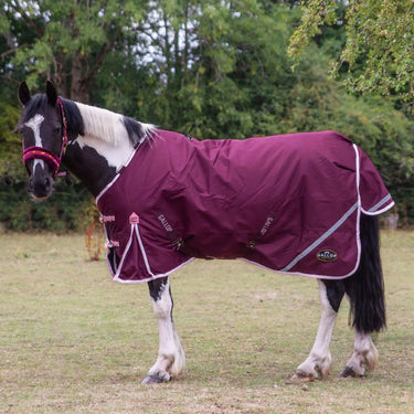 Gallop Trojan Xtra Duraproof 200g 5-Point Standard Neck Turnout| Online For Equine