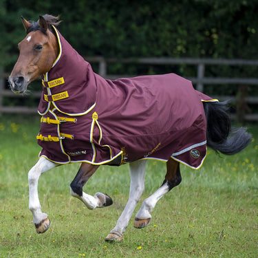 Gallop Trojan Xtra Duraproof 200g Turnout Combo| Online For Equine