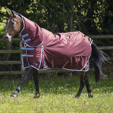 Gallop Trojan Xtra Duraproof 350g Turnout Combo| Online For Equine