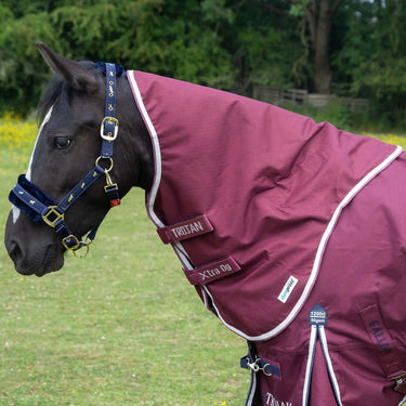 Gallop Trojan Xtra Duraproof 5-Point Lightweight Neck Cover| Online For Equine