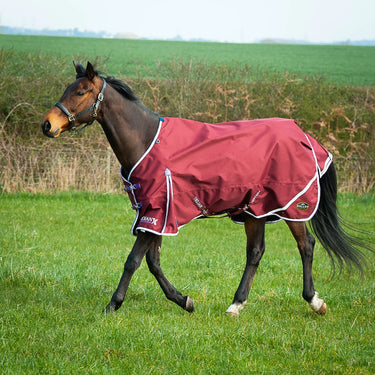 Gallop Trojan Xtra Lightweight Standard Neck Turnout Rug| Online For Equine