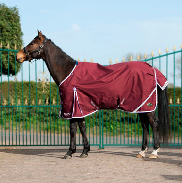 Gallop Trojan Xtra Lightweight Standard Neck Turnout Rug| Online For Equine