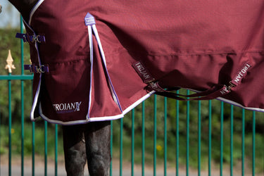 Gallop Trojan Xtra Lightweight Standard Neck Turnout Rug| Online For Equine