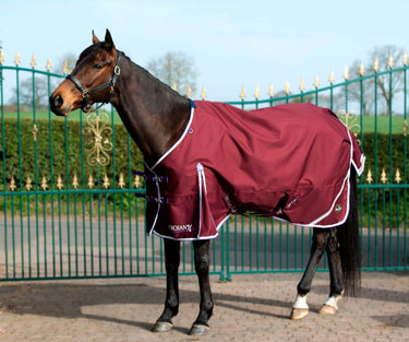 Gallop Trojan Xtra Lightweight Standard Neck Turnout Rug| Online For Equine