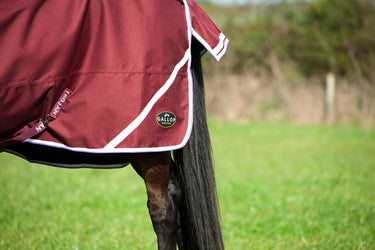 Gallop Trojan Xtra Lightweight Standard Neck Turnout Rug| Online For Equine