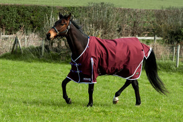 Gallop Trojan Xtra Lightweight Standard Neck Turnout Rug| Online For Equine