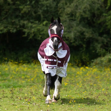 Gallop Trojan Xtra Waterproof Combo Fly Turnout Rug| Online For Equine