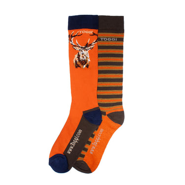 Buy Toggi Gilman Mens 2 pack Socks | Online for Equine
