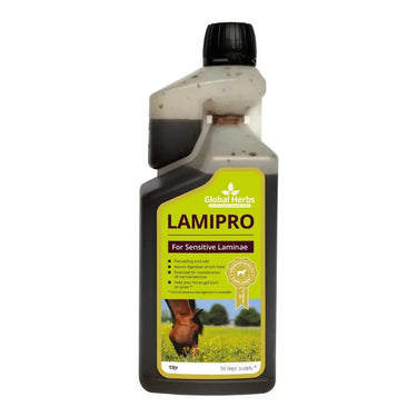 Buy Global Herbs Equine Lamipro Liquid| Online for Equine