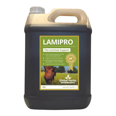 Buy Global Herbs Equine Lamipro Liquid| Online for Equine