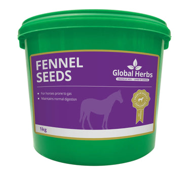 Buy Global Herbs Fennel Seeds| Online for Equine