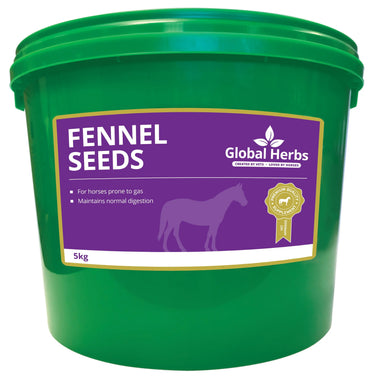 Buy Global Herbs Fennel Seeds| Online for Equine