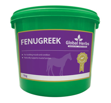 Buy Global Herbs Fenugreek 1Kg| Online for Equine