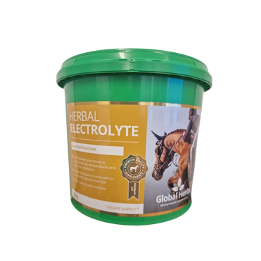 Buy Global Herbs Herbal Electrolyte 1Kg| Online for Equine