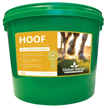Buy Global Herbs Hoof| Online for Equine