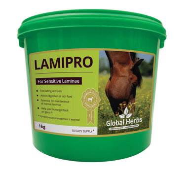 Global Herbs Lamipro| Online For Equine