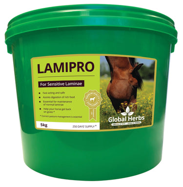 Global Herbs Lamipro| Online For Equine