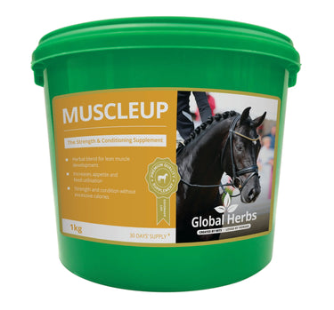Buy Global Herbs Muscleup 1Kg| Online for Equine