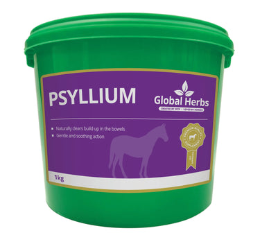 Buy Global Herbs Psyllium 1Kg| Online for Equine