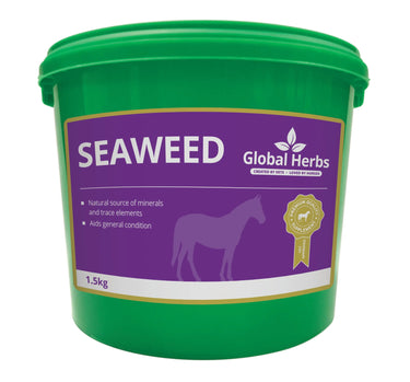 Buy Global Herbs Seaweed| Online for Equine