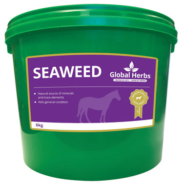 Buy Global Herbs Seaweed| Online for Equine