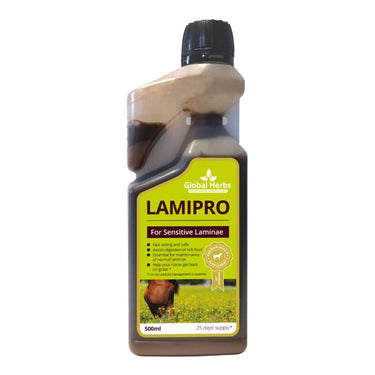 Buy Global Herbs Equine Lamipro Liquid| Online for Equine