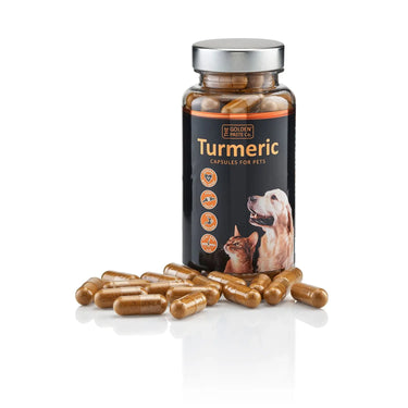 Buy Golden Paste Company Turmeric Capsules For Pets | Online for Equine