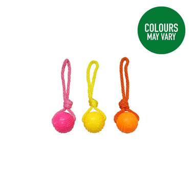 Buy Good Boy Fetch Glow In The Dark Ball On Rope | Online for Equine