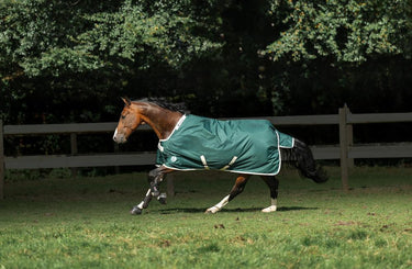 Bucas Greenline Turnout 100g Rug