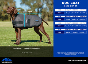 Buy Weatherbeeta Comfitec Classic Waterproof Dog Coat Navy | Online for Equine