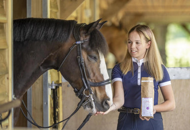 Buy Gumbits| Online for Equine