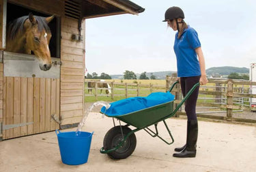 Buy H2Go Water Carrier-One Size| Online for Equine