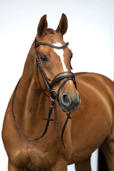 HKM Bridle Ira| Online For Equine