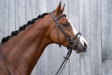 HKM Bridle Jana| Online For Equine
