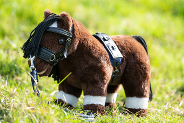 HKM Cuddle Toy Pony Lunge Set| Online For Equine