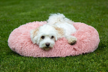 HKM Dog Bed Fluffy| Online For Equine