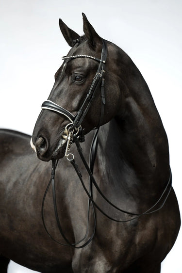 HKM Double Bridle Dina| Online For Equine