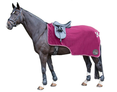 HKM Exercise Sheet| Online For Equine