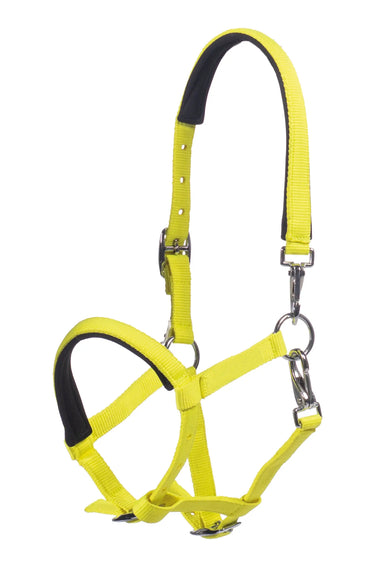 HKM Foal Head Collar Millie| Online For Equine