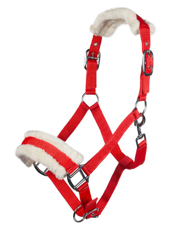 HKM Head Collar Bischofshofen with Plush Padding| Online For Equine