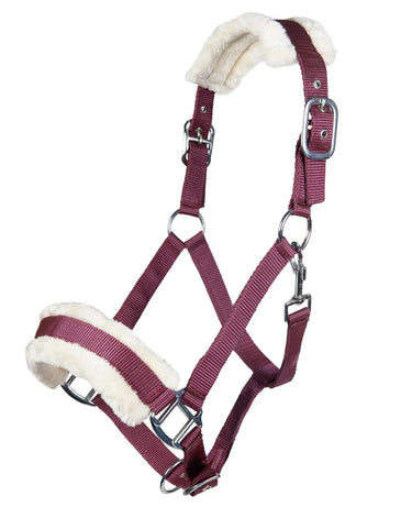 HKM Head Collar Bischofshofen with Plush Padding| Online For Equine